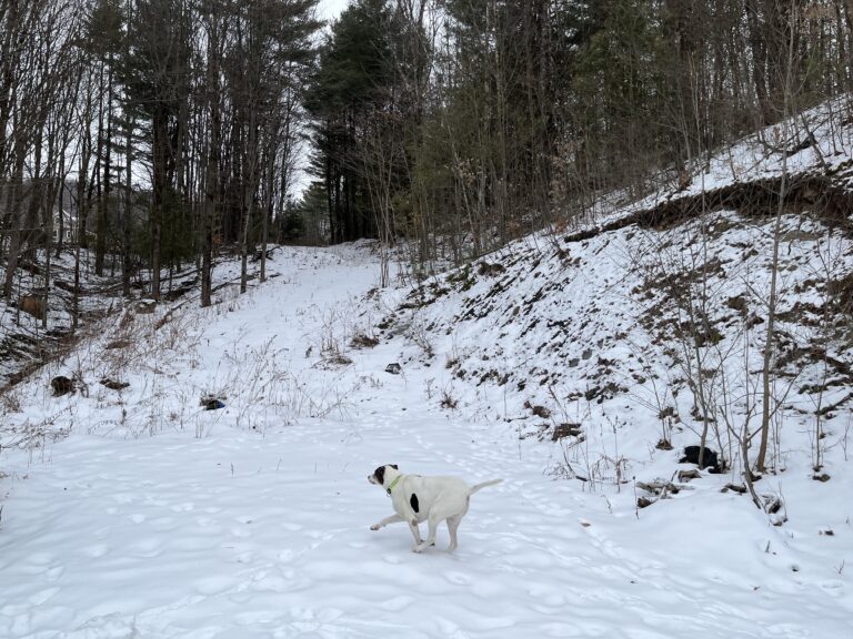 New Year, New Opportunities at The Cobble